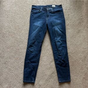 Bridge by Gly Indigo Skinny Jeans